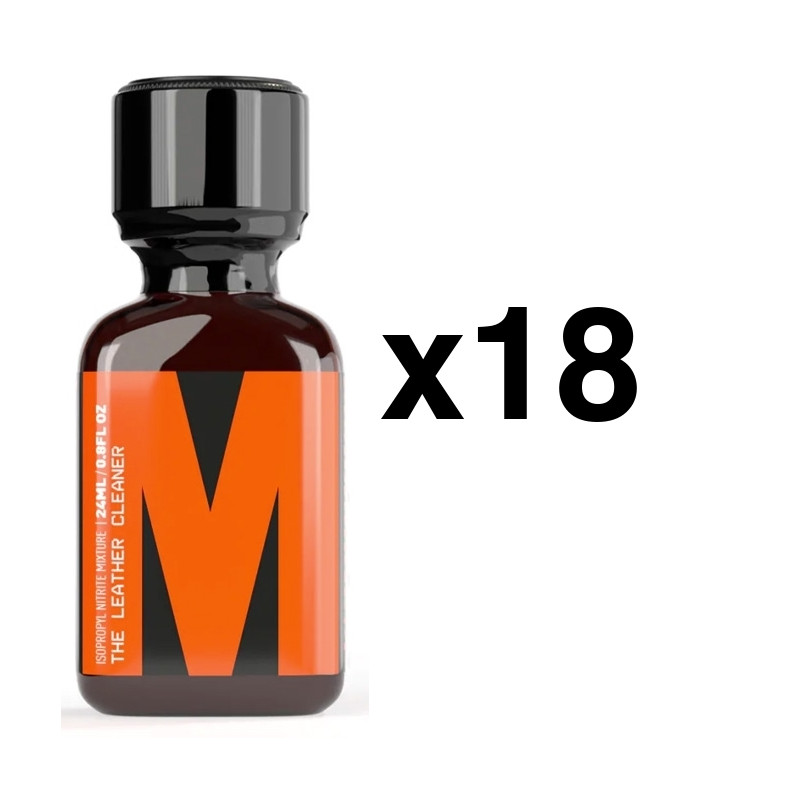 BGP Leather Cleaner M 24ml x18